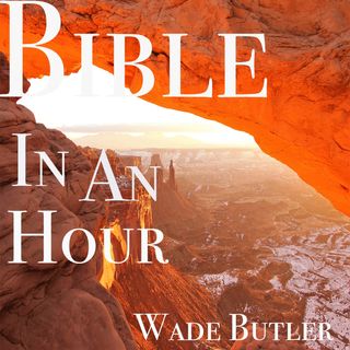 Bible In An Hour - The Whole Picture