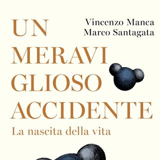 Marco Santagata "Un meraviglioso accidente"