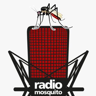 RADIO MOSQUITO