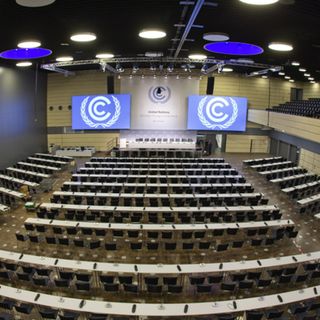 Endangered - COP23, nulla da segnalare