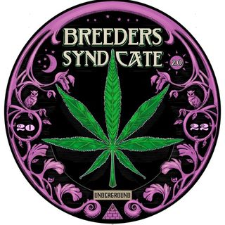 Breeders Syndicate 2.0 - The Episode that Wasn't with K of Hydrotech n NL Crew