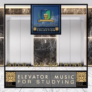 Elevator Music | Relaxing Studying Ambience | Block Out Distractions
