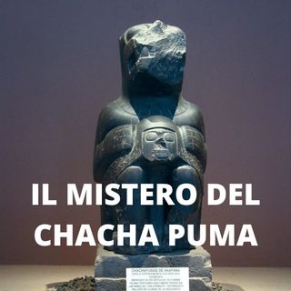 Il Mistero del ChaCha Puma