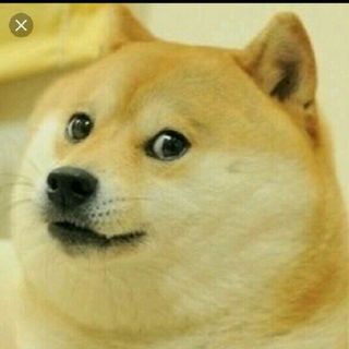MemeDog