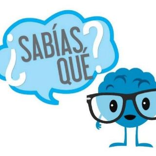 El Radar Curioso