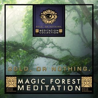 Magic Forest Meditation | Meditation Music | Mindfulness