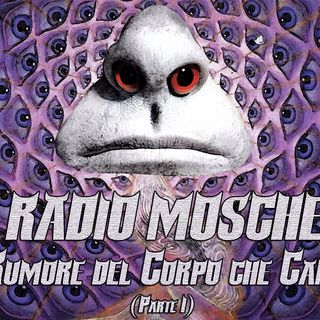 Radio Mosche - Puntata 23: Il Rumore del Corpo che Cambia (Parte 1)
