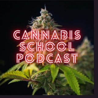 Cannabis School