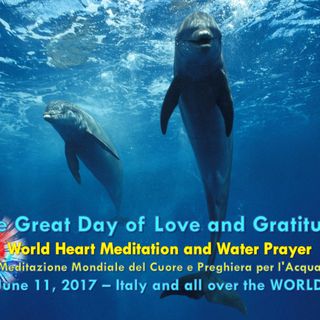 ES EN - Sharing our experiences of the Great Day of Love and Gratitude 2017