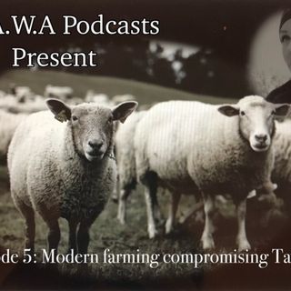 Episode 5: Modern farming & Tayyib