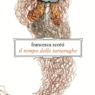 Francesca Scotti "Il tempo delle tartarughe"