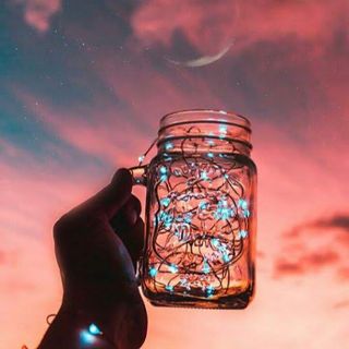 Daniela Bracamonte