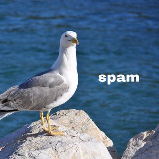 spAm