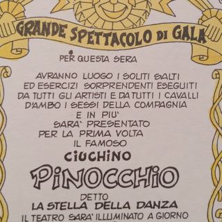 Capitolo 33 - Il Ciuchino Stella Della Danza