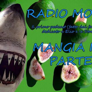 Radio Mosche - Puntata 16: Mangia i Fiki (Parte II)