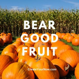 2825 Bear Good Fruit