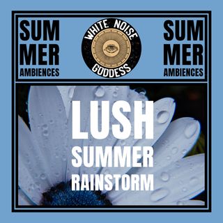 Lush Summer Rainstorm | Summer Rain Ambience | Relaxation | Meditation | Deep Sleep