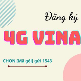 Đăng Ký 4g Vina