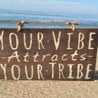 Episode # 235 – Your Vibe Attracts Your Tribe