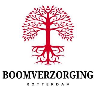 Boomverzorging Rotterdam