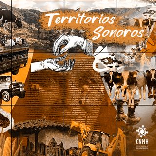 28 Territorios Sonoros - Muralismo Carmen de Viboral