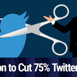 TWiT Clip: Musk Plans To Lay Off 75% Twitter Staff as Deal Deadline Nears