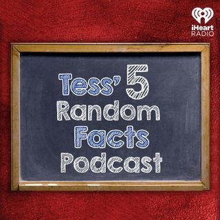 Tess' 5 Random Facts