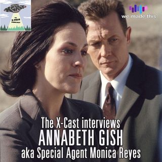600. Interview: Annabeth Gish (aka Special Agent Monica Reyes)