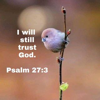I will still Trust God **NEW**