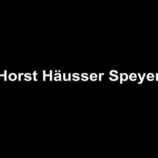 Lärmschutz in Häusern und Wohnungen von Horst Häusser aus Speyer