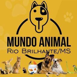 Mundo Animal Protetores De RBT