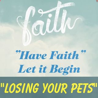 Losing Your Pets