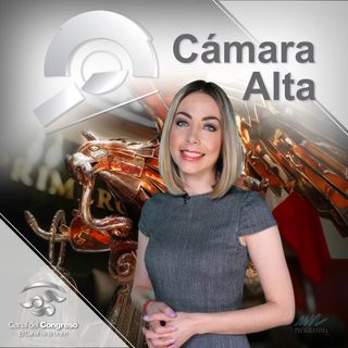 CÁMARA ALTA T1 PROGRAMA 13
