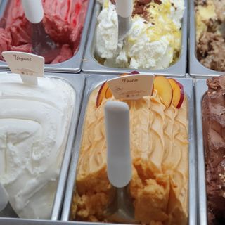 Letizia Bugini: «Meglio il gelato artigianale o quello industriale?»