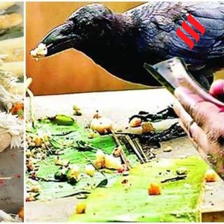 वर्तमान पर विश्वास के छोर – Belief and Culture (Duniya Mere Aage, 27 October 2022)