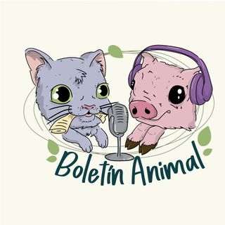 Boletín Animal