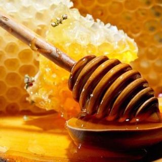 Caldo e siccità: giù del 30 per cento la produzione di miele nel vicentino