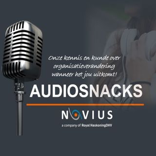 Audiosnacks S1E4 - Missie, Visie & Kernwaarden