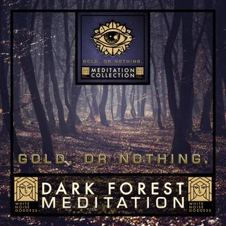 Dark Forest Music Meditation | Mindfulness | Yoga | Sleep | ASMR