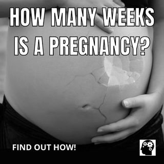 How long will your pregnancy last?