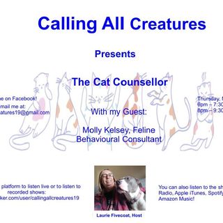 Calling All Creatures Presents The Cat Counsellor
