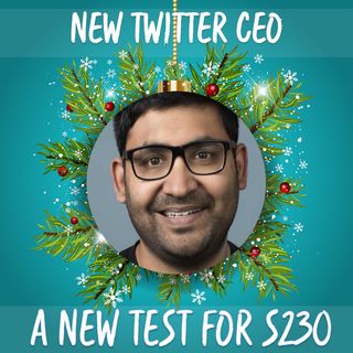 12 Days of Riskmas - Day 2 - New Twitter CEO
