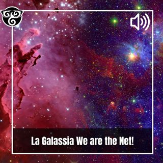 Gli albori della galassia We are the Net!