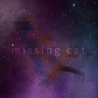 Missing Cat