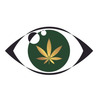 #33 Czy marihuana uzależnia? - Przemek Zawadzki