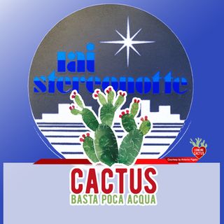 Cactus #24 - Nella notte - 11/03/2021
