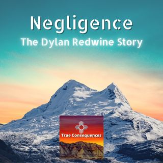Nobody Knows Mark Redwine pt. 2: Negligence the Dylan Redwine Story