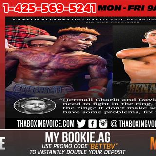 ☎️Canelo Wants to See Charlo Vs. Benavidez🔥 Handle Things in The Ring 👀