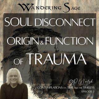 8: Soul Disconnect - Origin and Function of Trauma