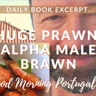 Huge Prawn, Alpha Male Brawn (excerpt from 'Should I Move to Portugal?' with added commentary)